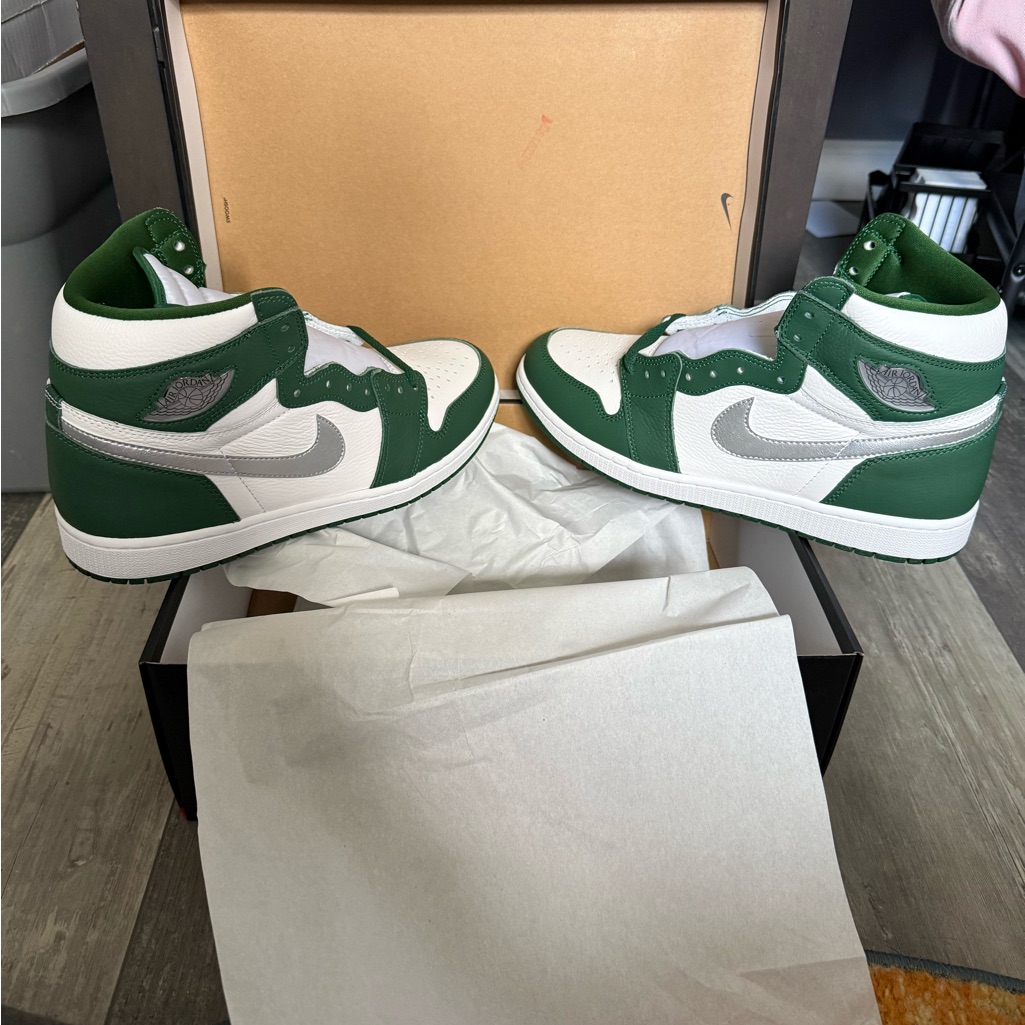 Nike Air Jordan 1 Retro High Og Dz5485 Nib